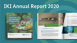 Cover IKI Annual Report 2020