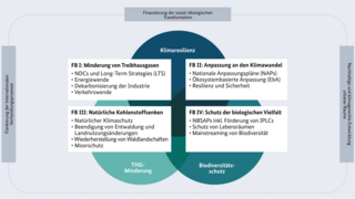 Grafik der priorisierten Handlungsfelder und übergreifenden Schwerpunkte der IKI. Eine ausführliche Darstellung ist unter dem Link der Grafik verfügbar.