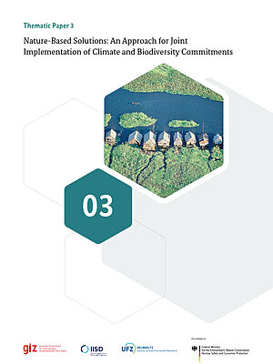 Cover giz iisd ufz nature-based solutions biodiversity climatet