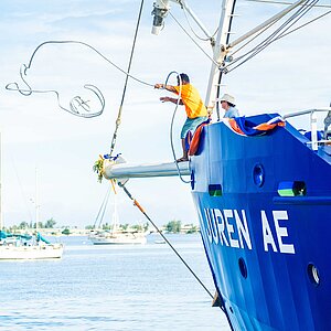 Ein Segelschiff legt im Hafen an. t