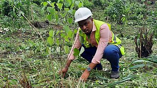 A man wearing a white construction helmet and a yellow high-visibility waistcoat kneels on the forest floor.