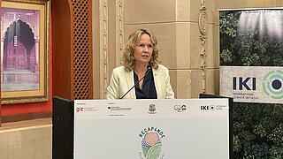 Federal Environment Minister Steffi Lemke gives a speech at a standing desk