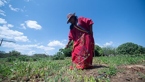 Woman in a red, embroidered dress bends down in a field under a blue sky.