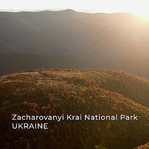 Thumbnail Video "Zacharovanyi Krai National Park | Ukrainian Carpathians"t