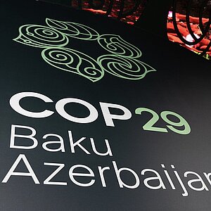 Writing: COP29