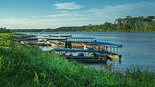 On one bank of the Amazon lie numerous traditional fishing boats