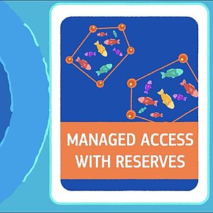 Thumbnail Video "Managed Access with Reserves - A tool that benefits people and nature"t