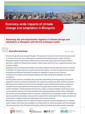 Cover Economy-wide Impacts of Climate Change and Adaptation in Mongoliat