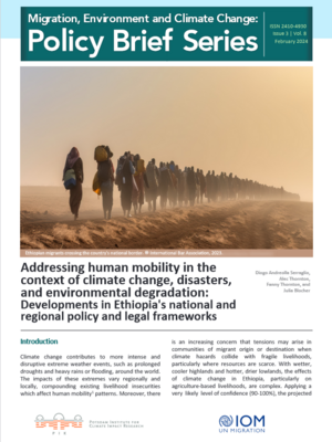 Cover PIK IOM Adressing Human Mobility Policy Brieft
