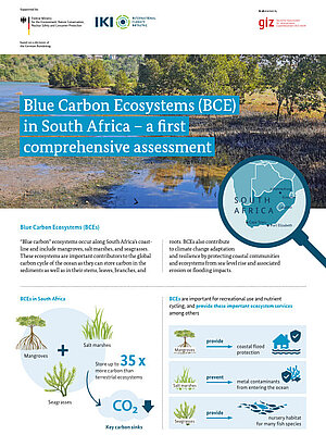 Cover Factsheet BlueCarbon SouthAfricat
