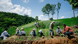 9 people planting seedlings next to a field.