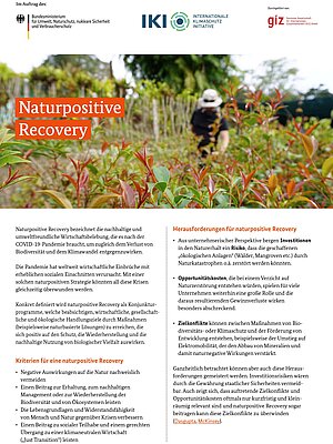 Cover Naturpositive Recoveryt