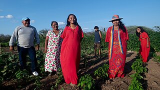 Men and women pose happily in a farming field, surrounded by plants and sunny weather.