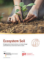 Cover Ecosystem Soil