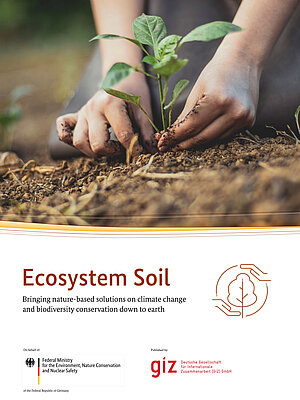 Cover Ecosystem Soilt