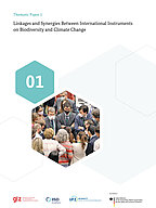 Cover giz iisd ufz biodiversity climate change instruments