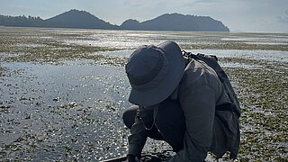 A man in a safari hat kneels in the silt. In front of him is a frame that marks a section of the investigation. 