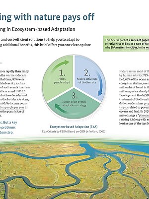 Cover Why working with nature pays off: The case for investing in Ecosystem-based Adaptationt