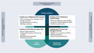 Graphic of the prioritised fields of action and overarching focus areas of the IKI. A detailed presentation is available under the link to the graphic.