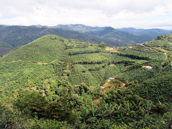 View above mountains
