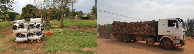 Wertschöpfungskette „Energie aus Holz“ in Paraguay: links: Verkauf von Holzkohle; rechts: Transport von Holz, das zur energetischen Nutzung bestimmt ist; Fotos: Lourdes González Soria - Universidad Nacional de Asunción (Paraguay)