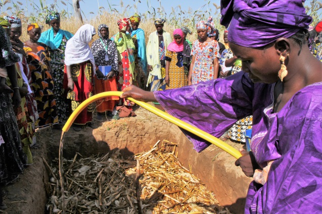  Farmerinnen bei einer Schulung in der Region Koulikoro; Foto: Emile Dakouo