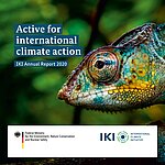 IKI annual report 2020