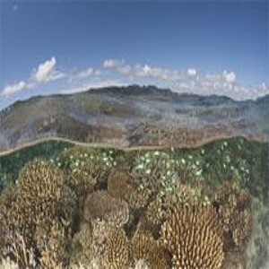 Riff
Corals
Man underwater with fish
Man, behind him the sea and a fisherboat