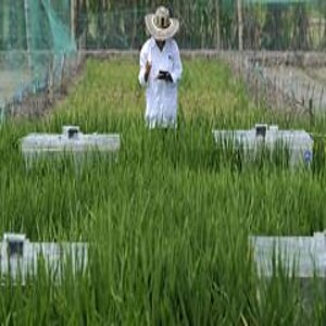 Man controlling plants 