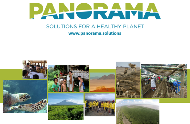 The "PANORAMA - Solutions for a Healthy Planet" initiative collects replicable solutions for sustainable development and distributes them globally via an online knowledge platform. Photo: PANORAMASolutions Logo PANORAMA Inititaive