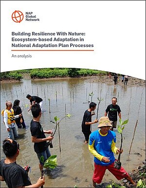 Building resilience with nature - analysist