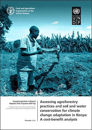 Assessing Agroforestry_Kenyat