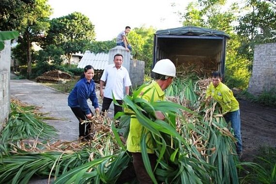 Harvest of sorghum; Photo: Weiland, CPEP Farmers harvesting and transporting sorghum