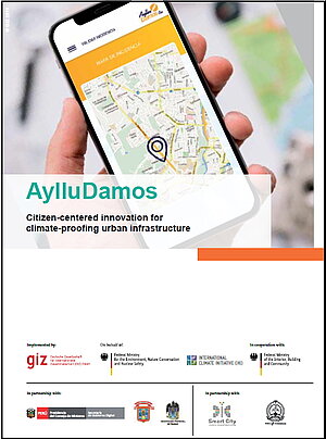 Cover AylluDamost